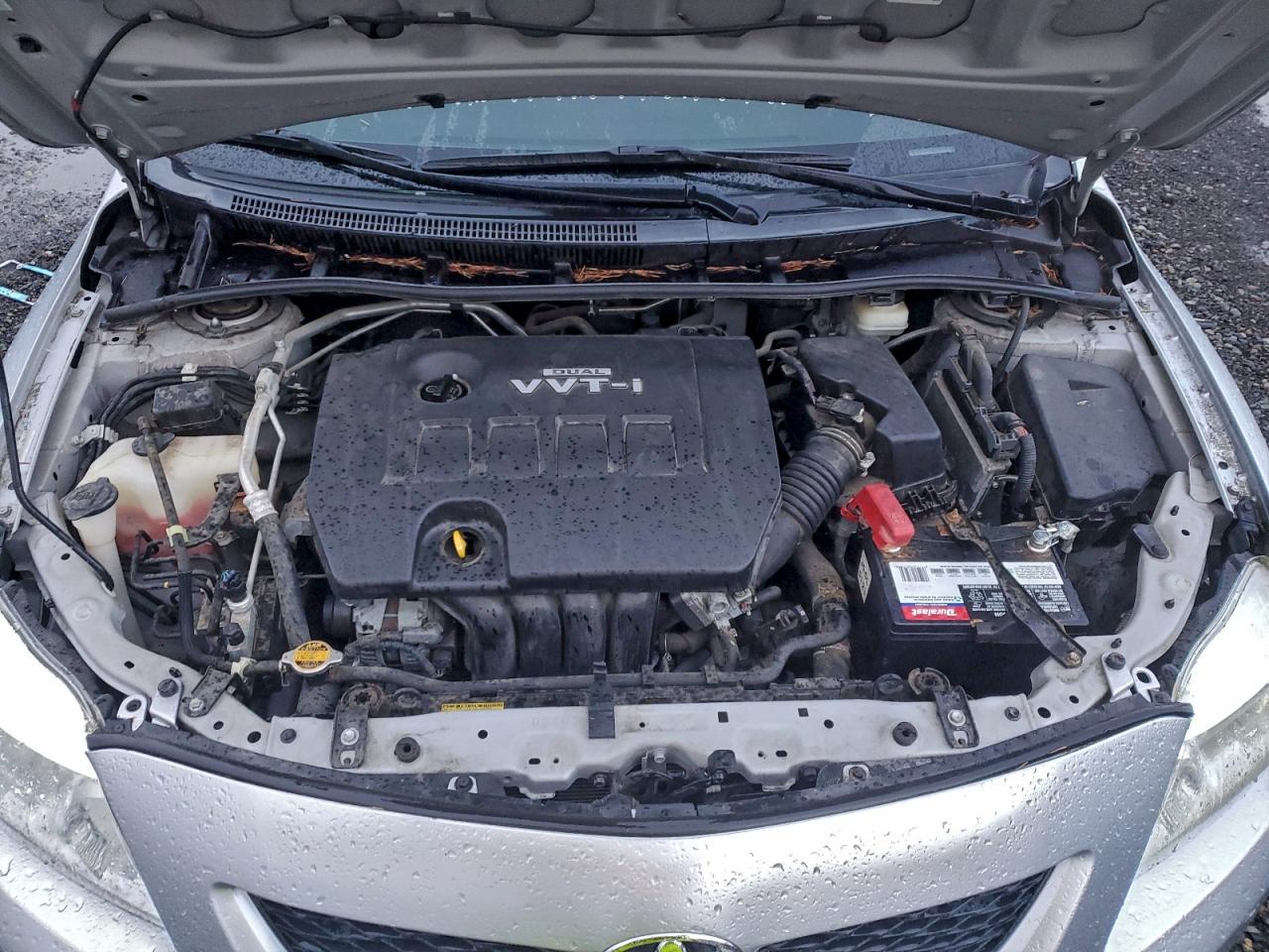 2010 TOYOTA COROLLA BASE photo 11