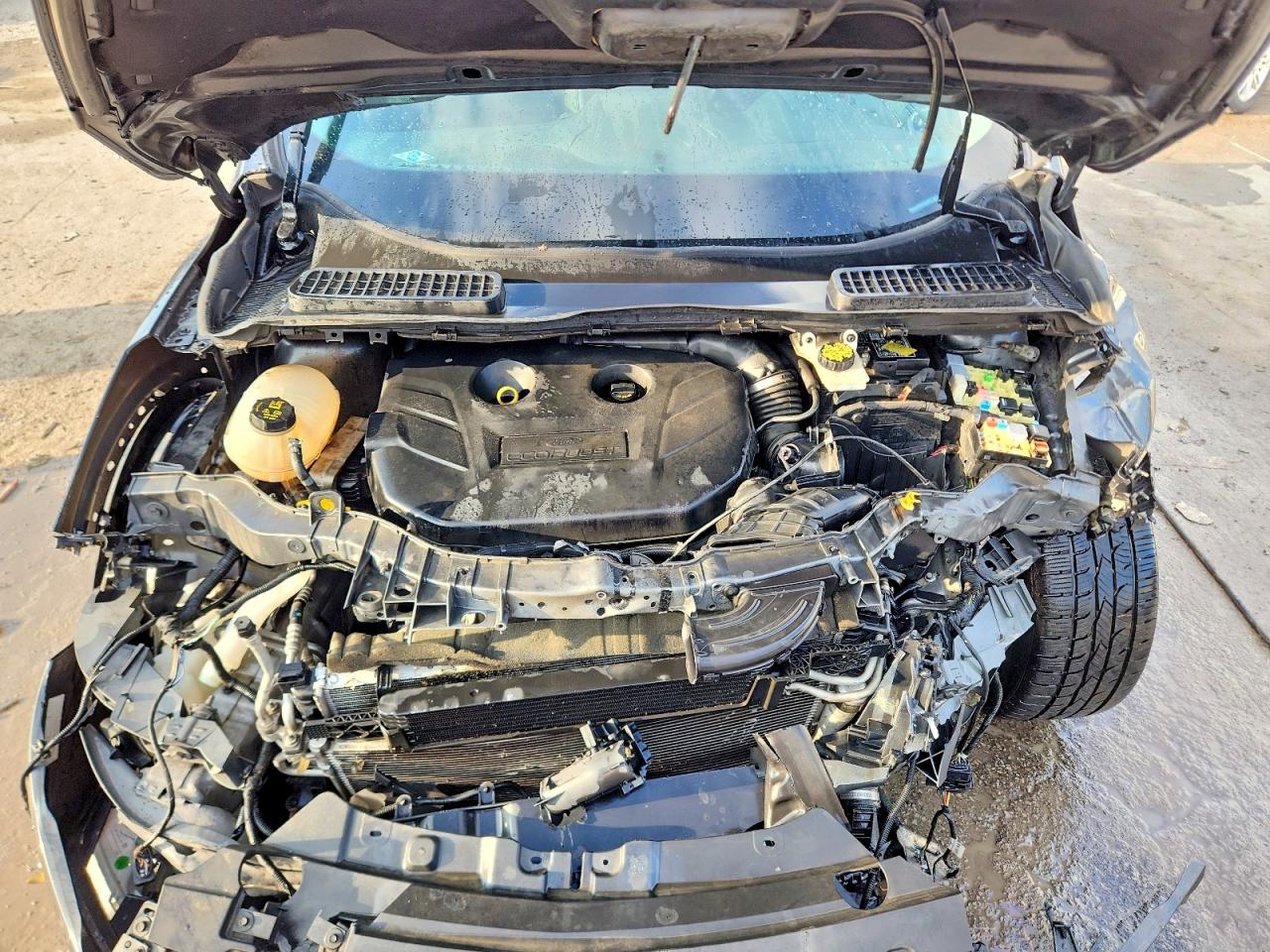 2017 FORD ESCAPE TITANIUM photo 12