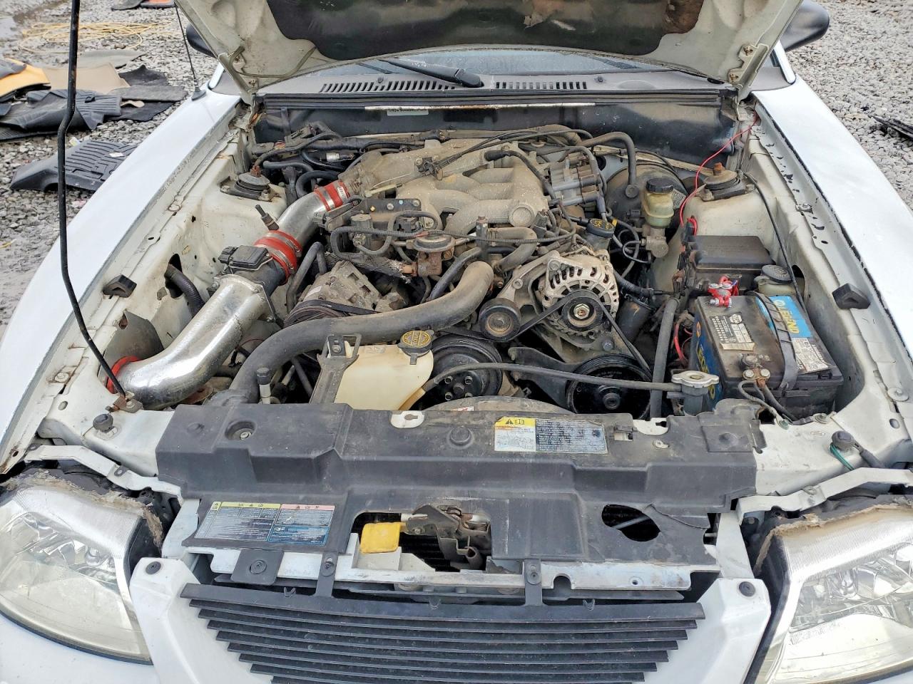 2002 FORD MUSTANG photo 11