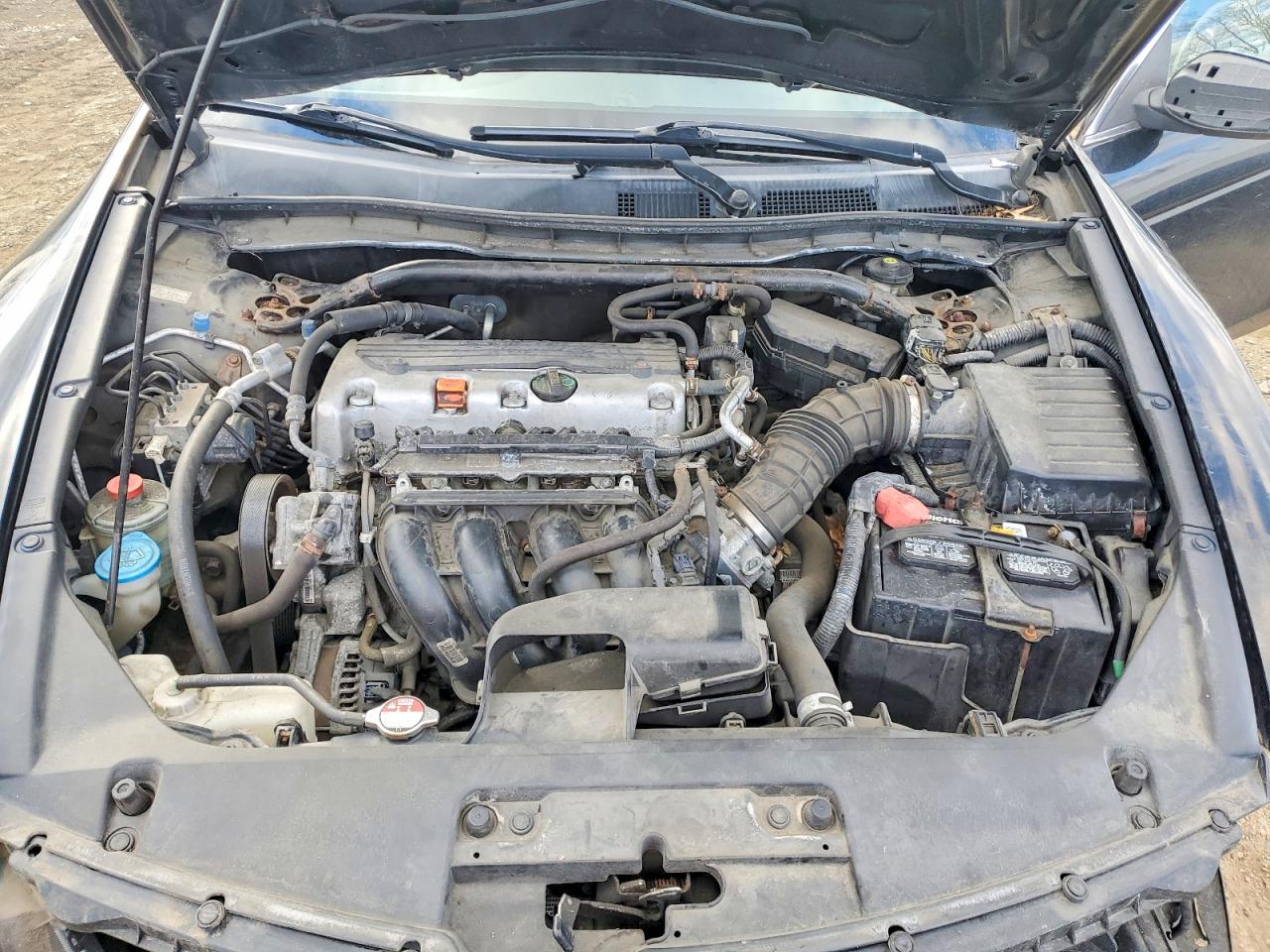 2010 HONDA ACCORD EXL photo 11