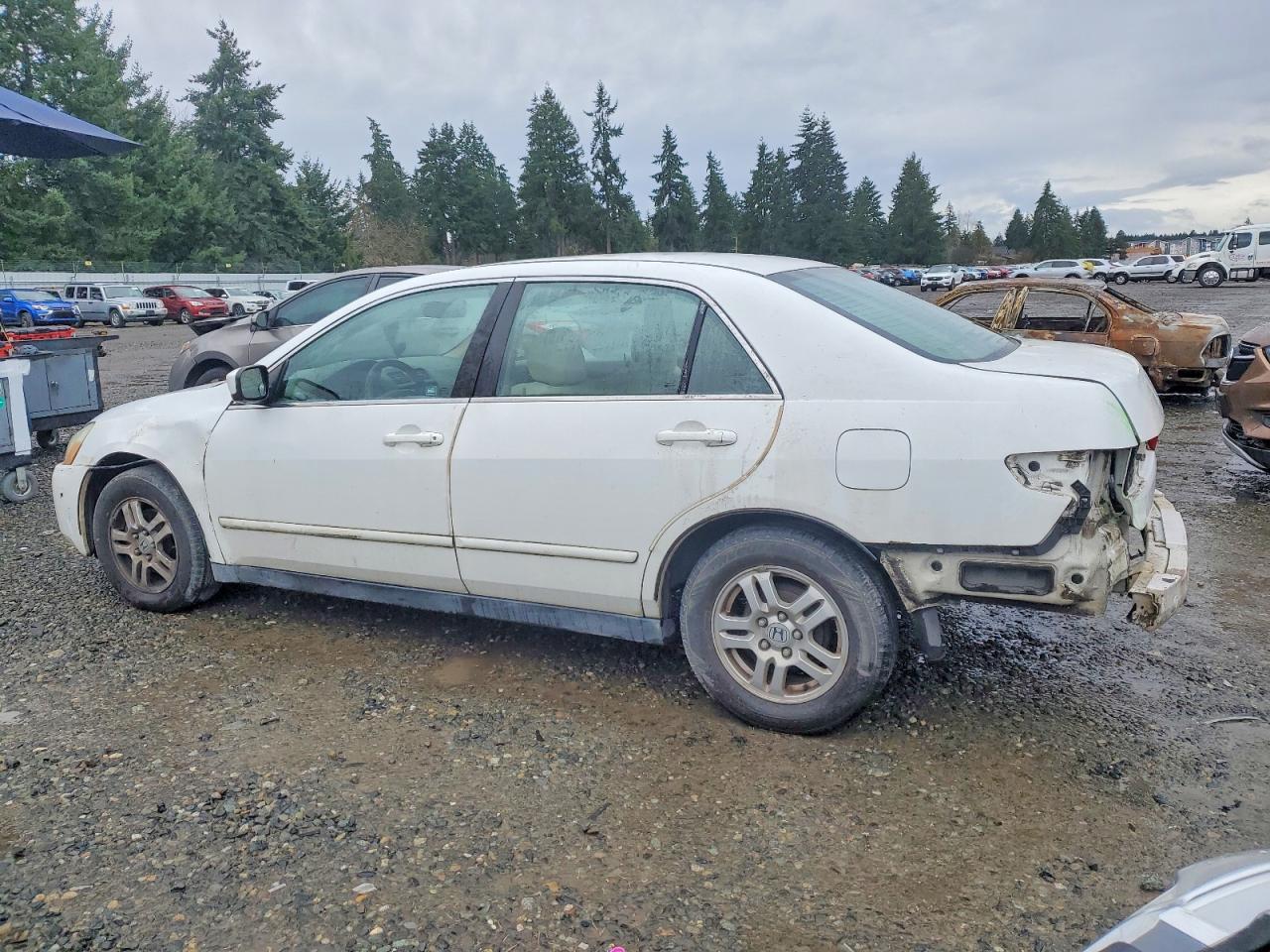 2004 HONDA ACCORD LX photo 2