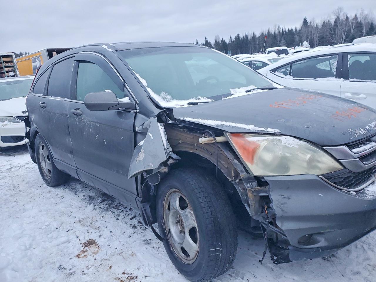 2010 HONDA CR-V EXL photo 4