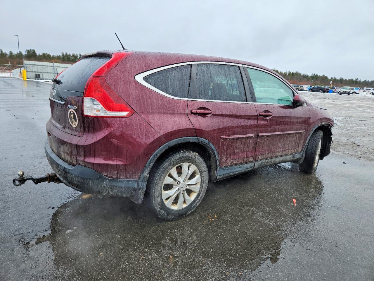 2014 HONDA CR-V EX photo 3
