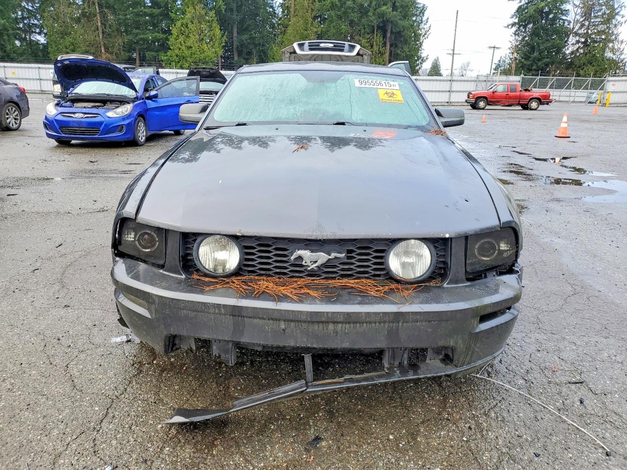 2007 FORD MUSTANG GT photo 5