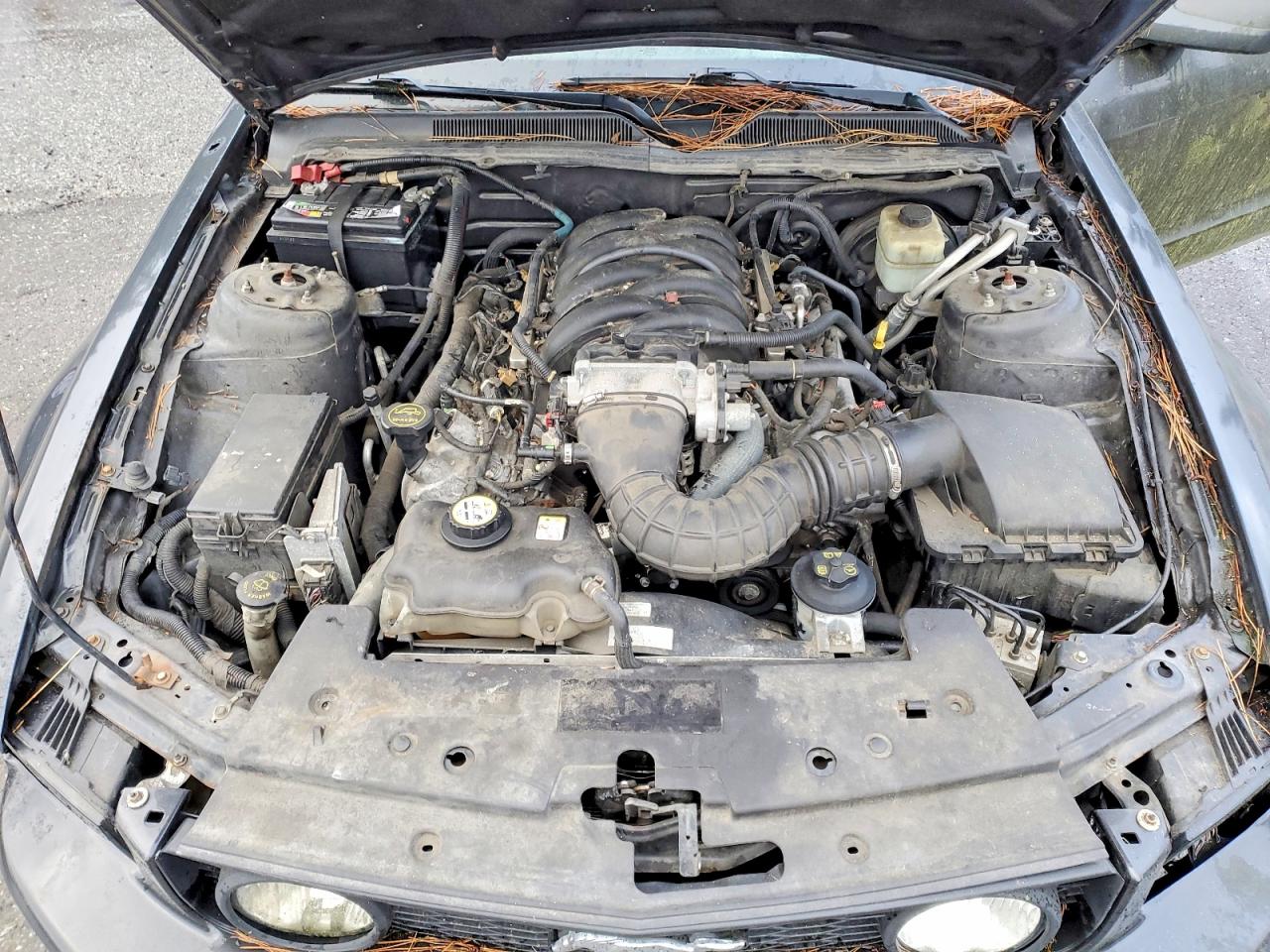 2007 FORD MUSTANG GT photo 11