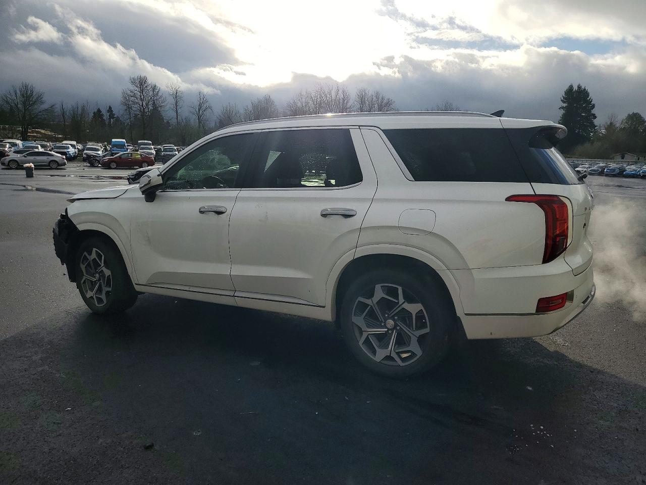 2022 HYUNDAI PALISADE CALLIGRAPHY photo 2