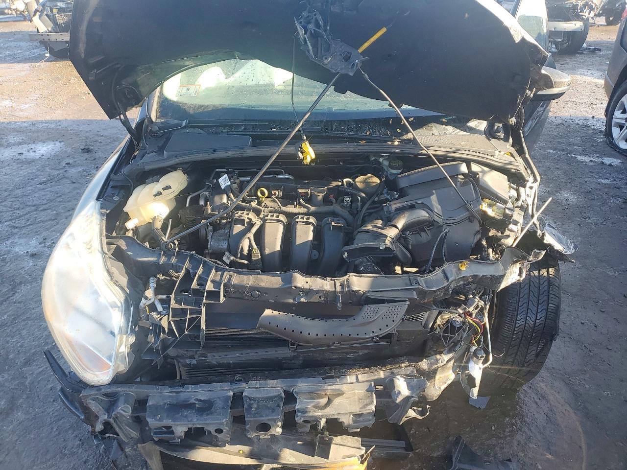 2014 FORD FOCUS SE photo 11