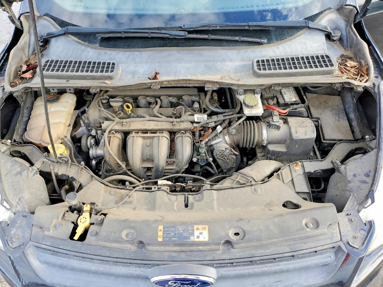 2015 FORD ESCAPE S photo 12