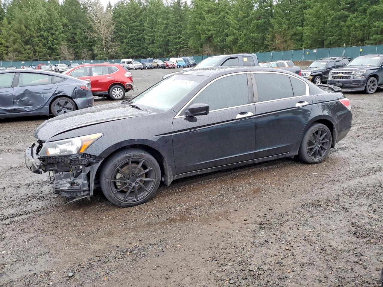 2011 HONDA ACCORD