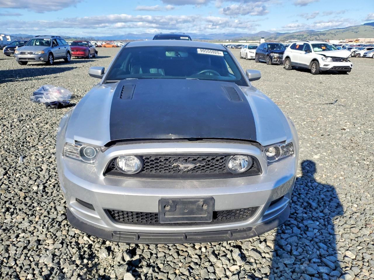 2014 FORD MUSTANG GT photo 5