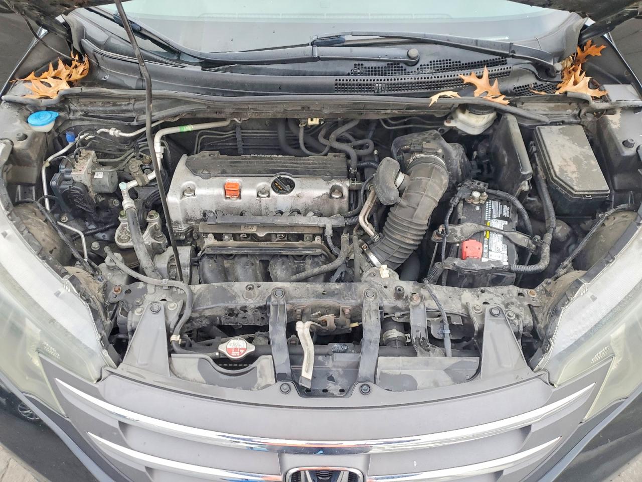 2014 HONDA CR-V LX photo 12