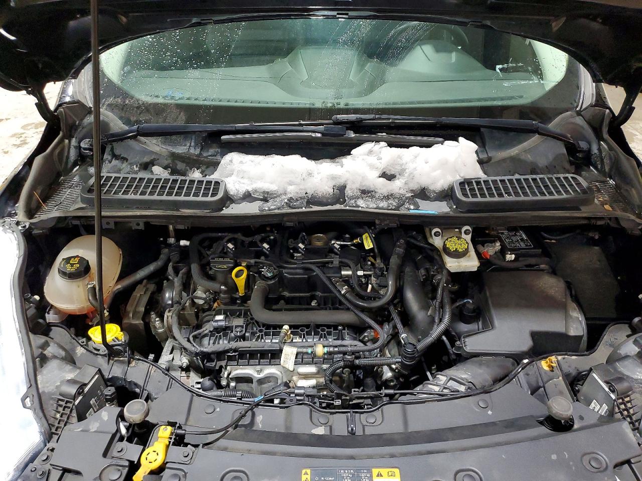 2019 FORD ESCAPE SEL photo 12