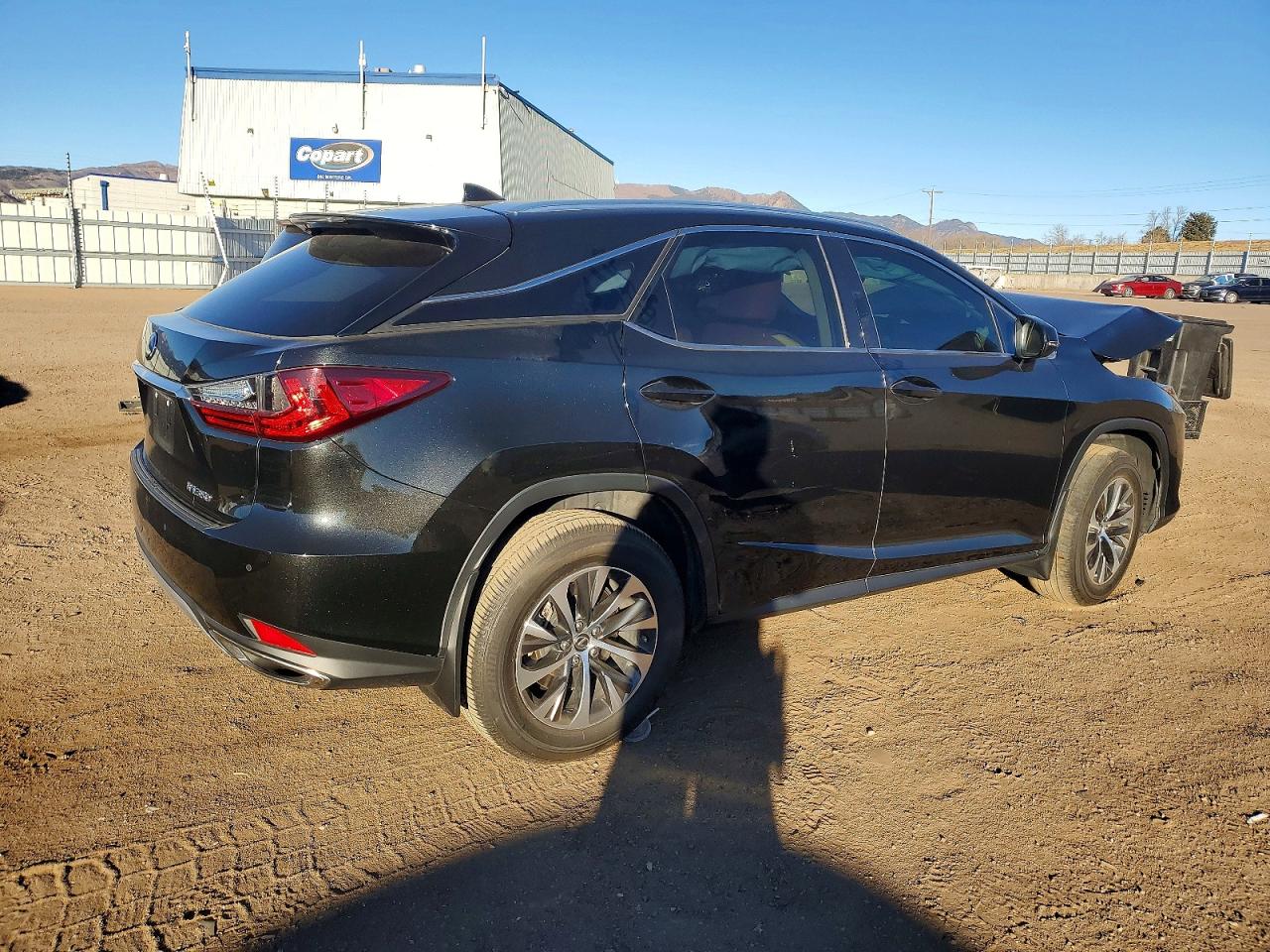 2022 LEXUS RX 350 photo 7