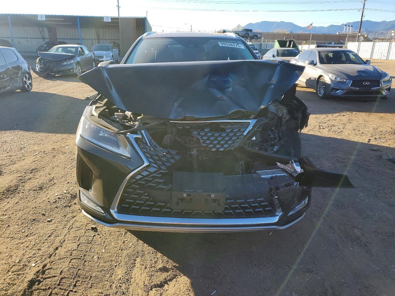 2022 LEXUS RX 350 photo 13