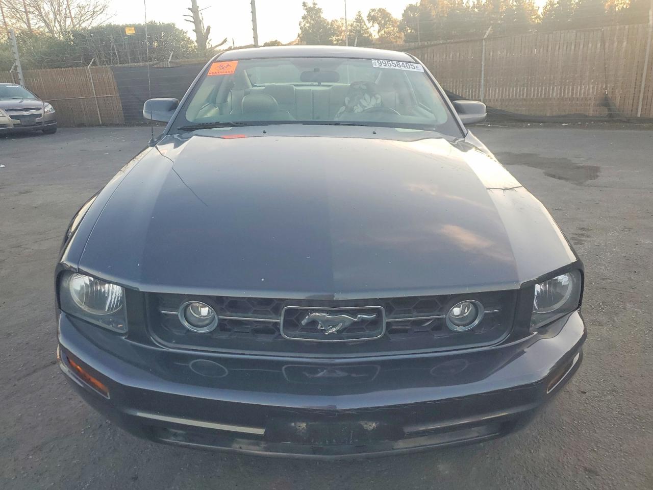 2007 FORD MUSTANG photo 5