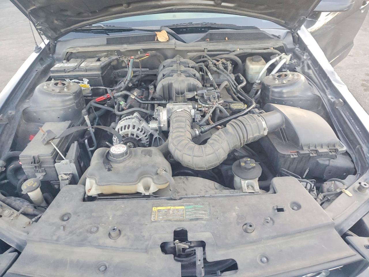 2007 FORD MUSTANG photo 11