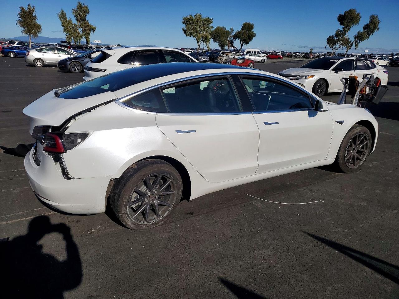 2020 TESLA MODEL 3 photo 5