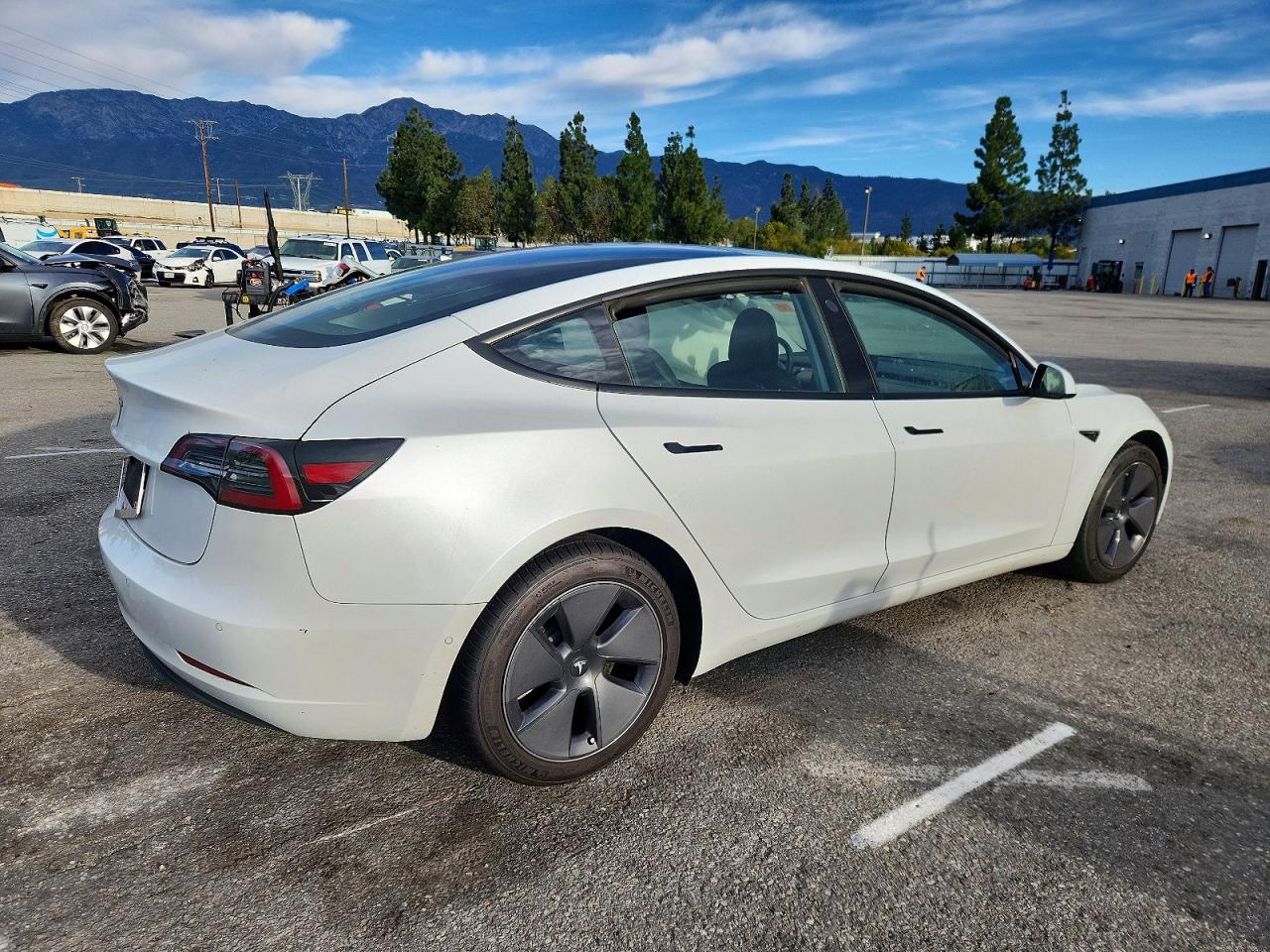 2021 TESLA MODEL 3 photo 3