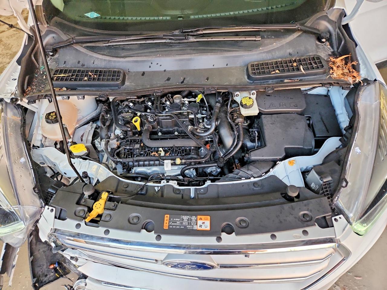 2019 FORD ESCAPE SEL photo 12