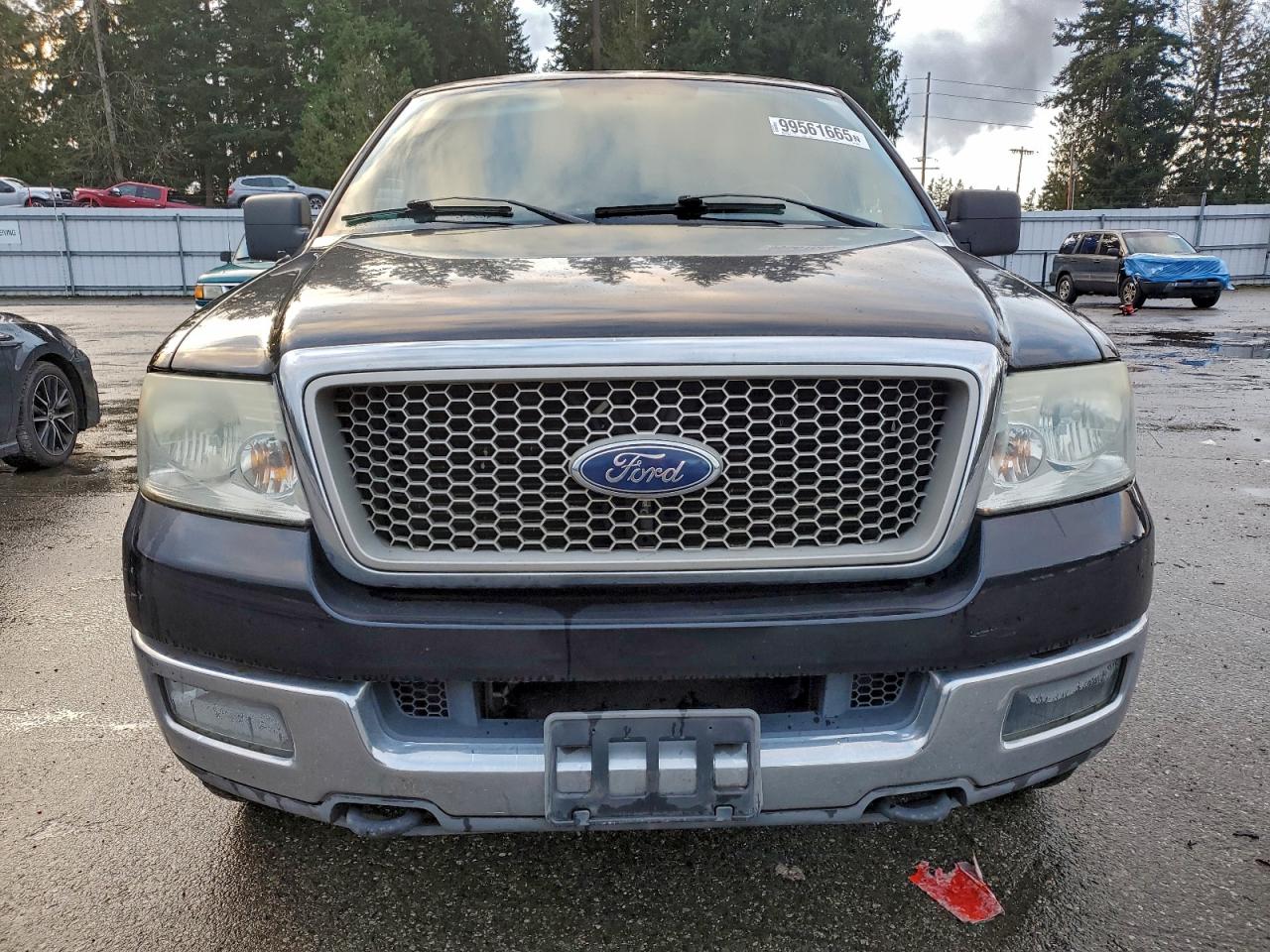 2004 FORD F150 photo 5