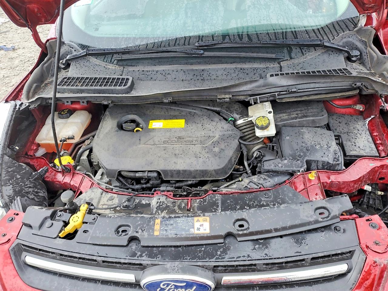 2015 FORD ESCAPE SE photo 11