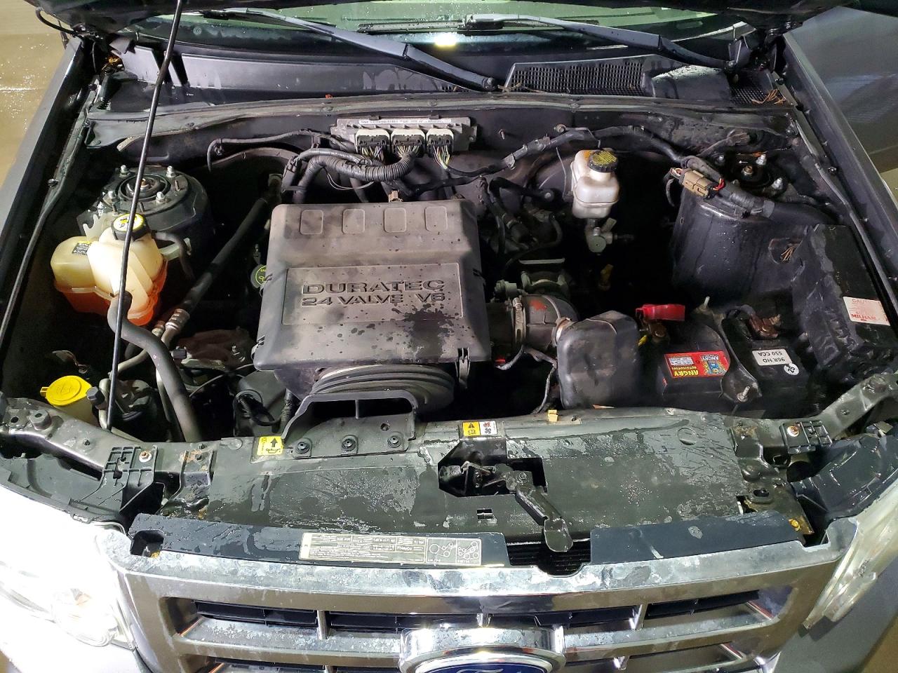2012 FORD ESCAPE XLT photo 11