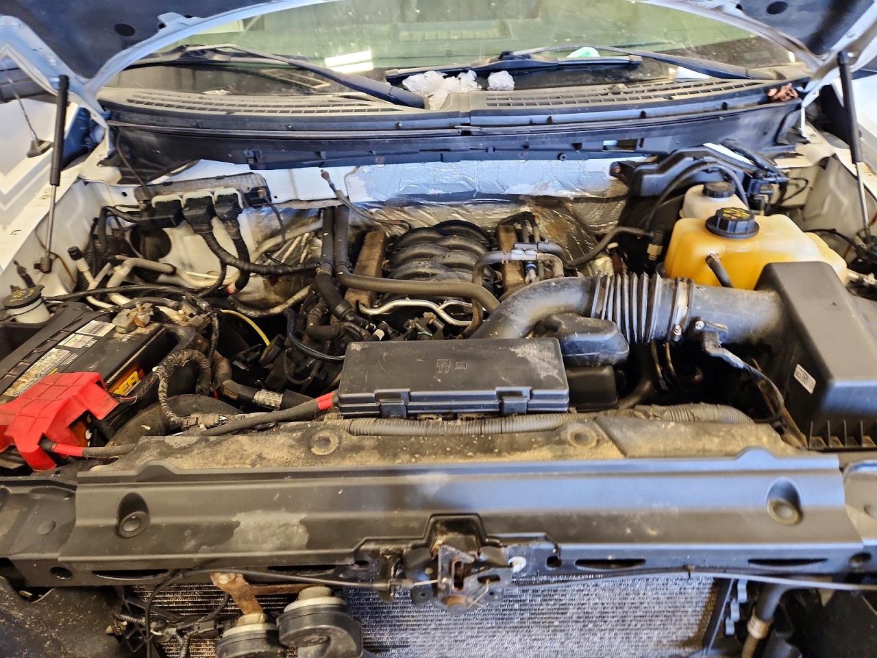 2013 FORD F150 SUPERCREW photo 11