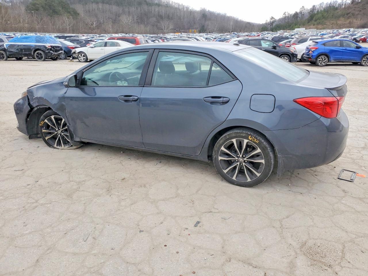 2019 TOYOTA COROLLA L photo 2