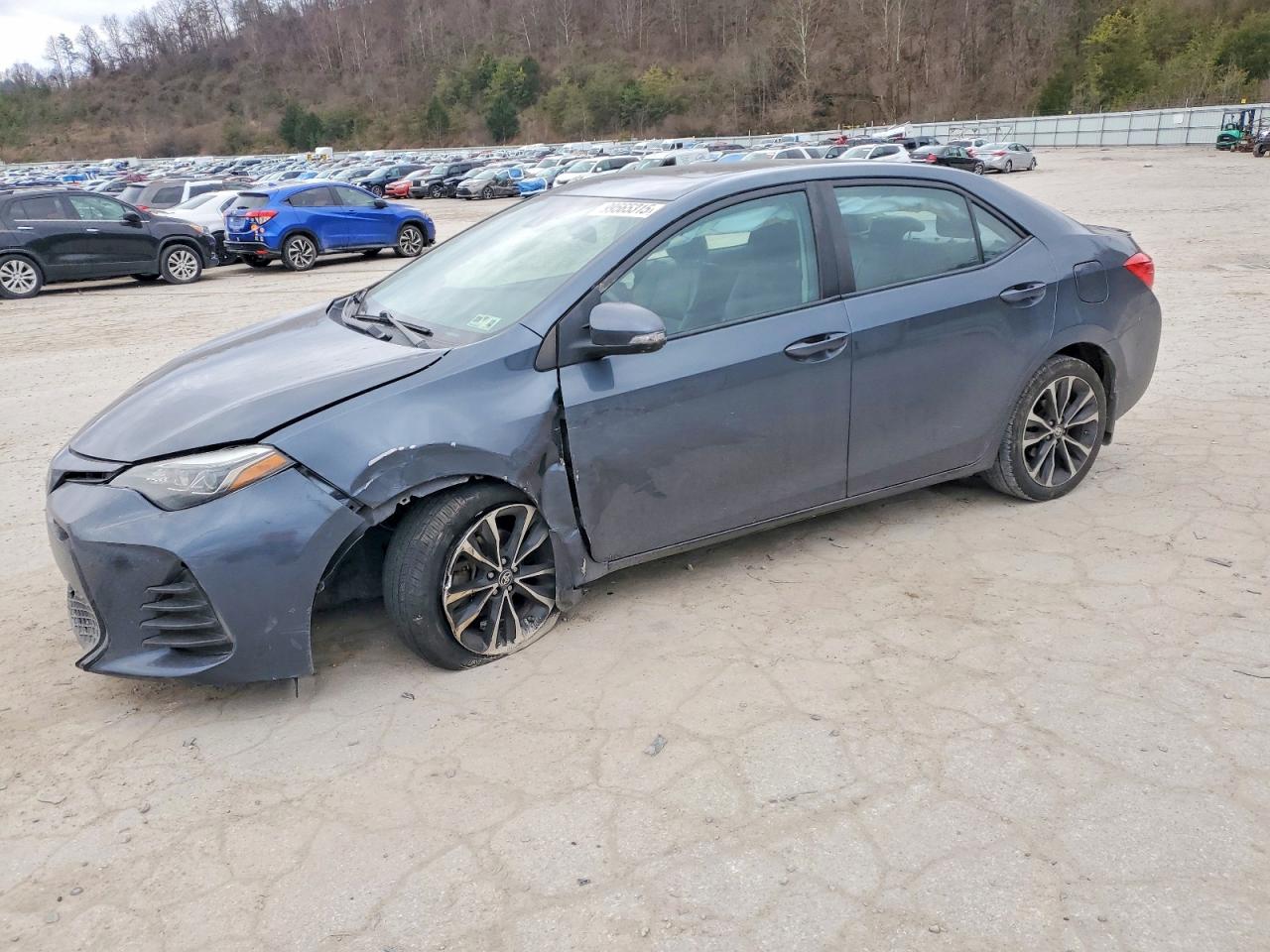 2019 TOYOTA COROLLA