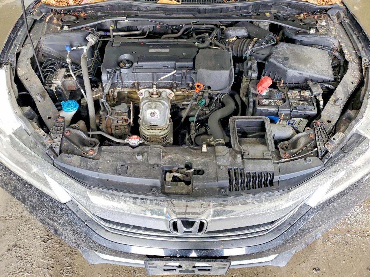 2017 HONDA ACCORD EXL photo 11