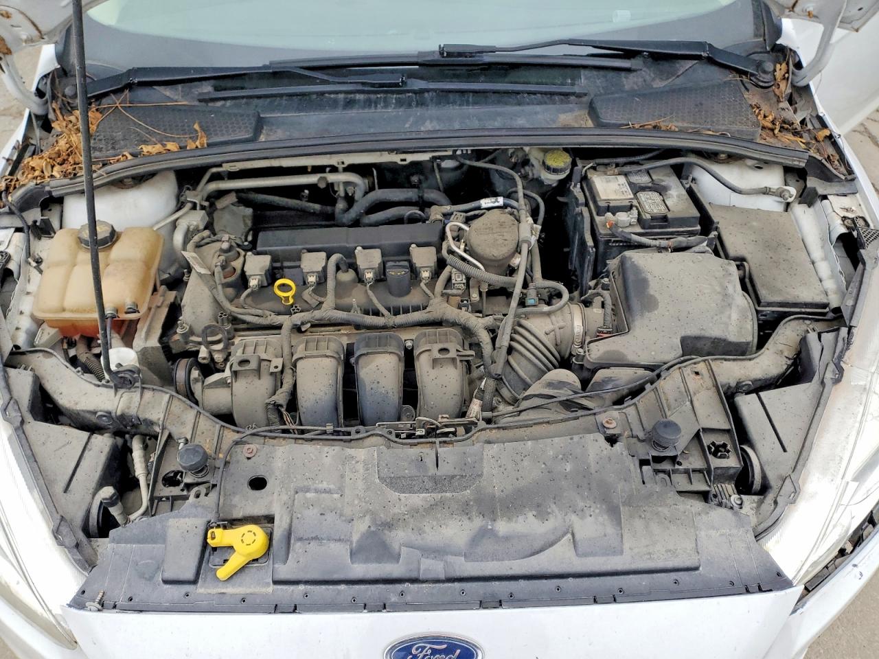 2015 FORD FOCUS S photo 11