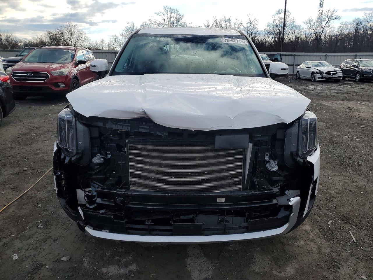 2025 KIA TELLURIDE S photo 5