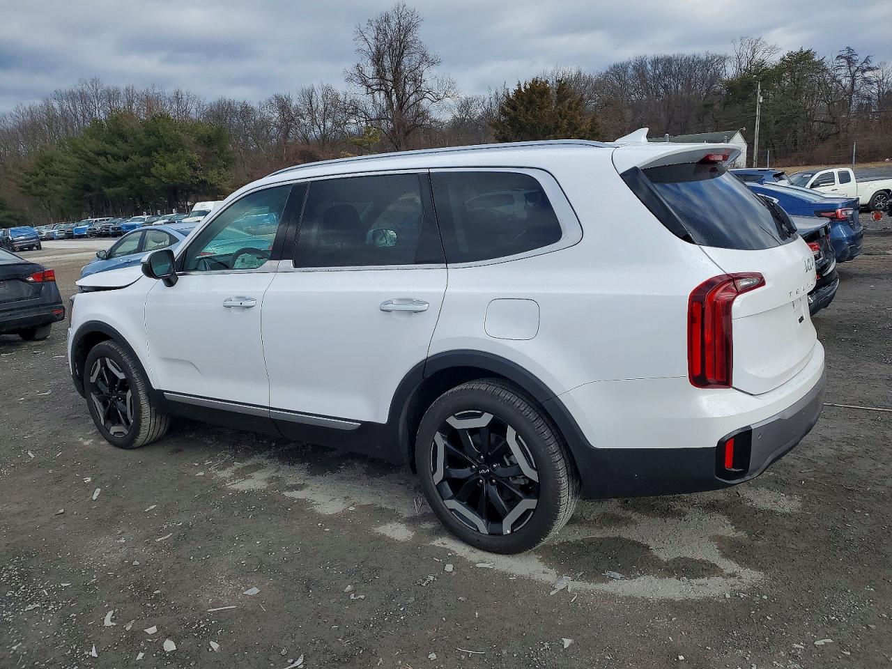 2025 KIA TELLURIDE S photo 2