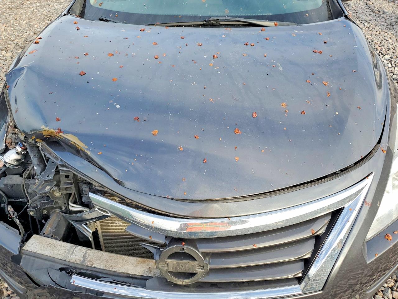 2013 NISSAN ALTIMA 2.5 photo 11
