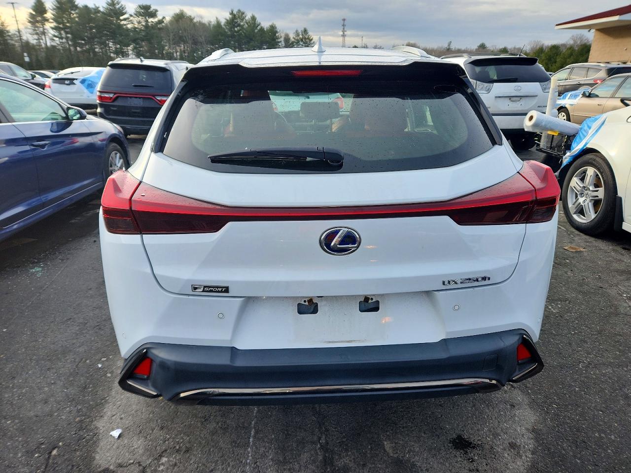 2021 LEXUS UX 250H photo 11