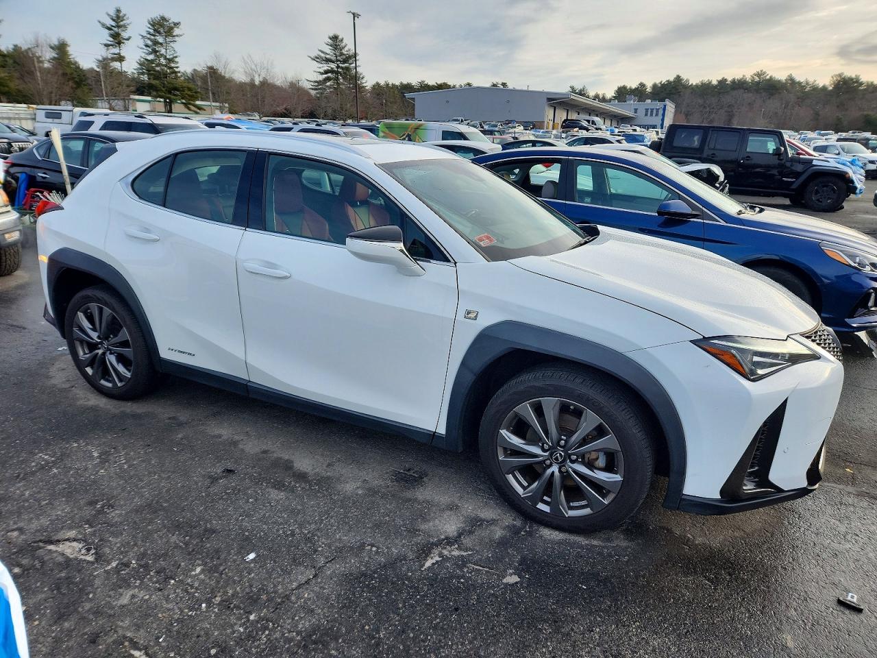 2021 LEXUS UX 250H photo 7