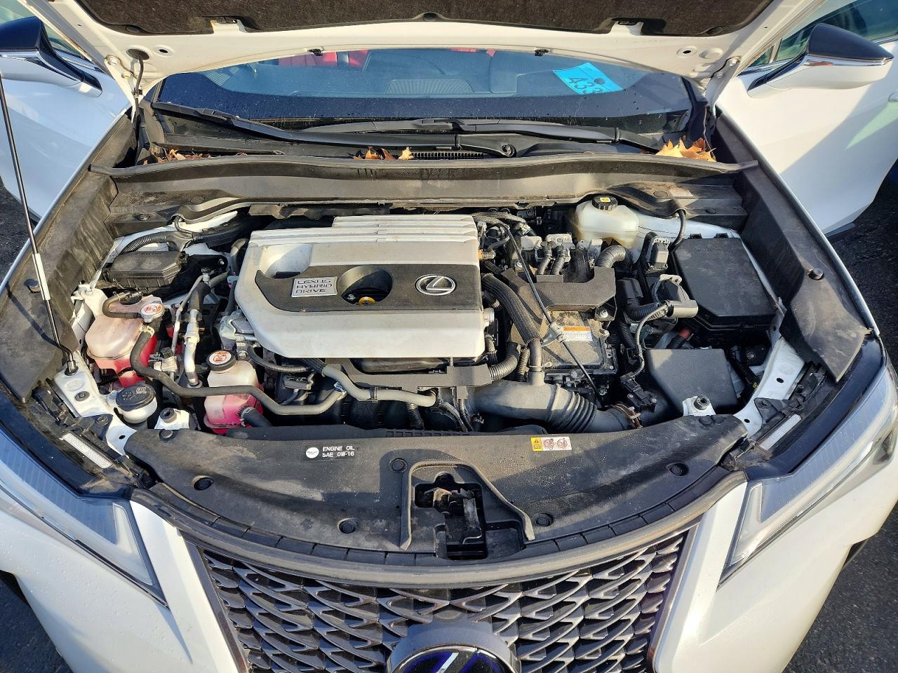 2021 LEXUS UX 250H photo 21