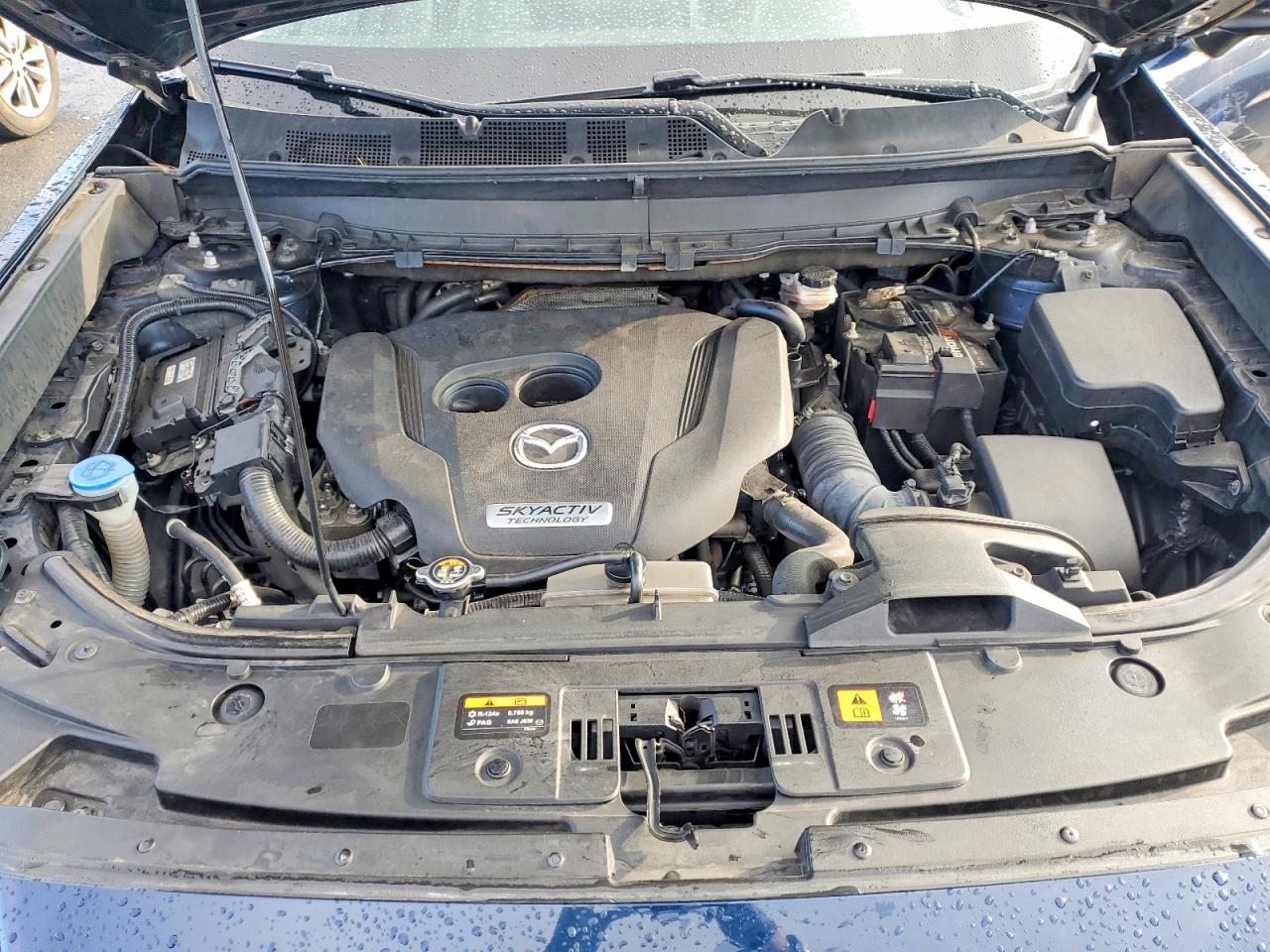 2017 MAZDA CX-9 TOURING photo 12