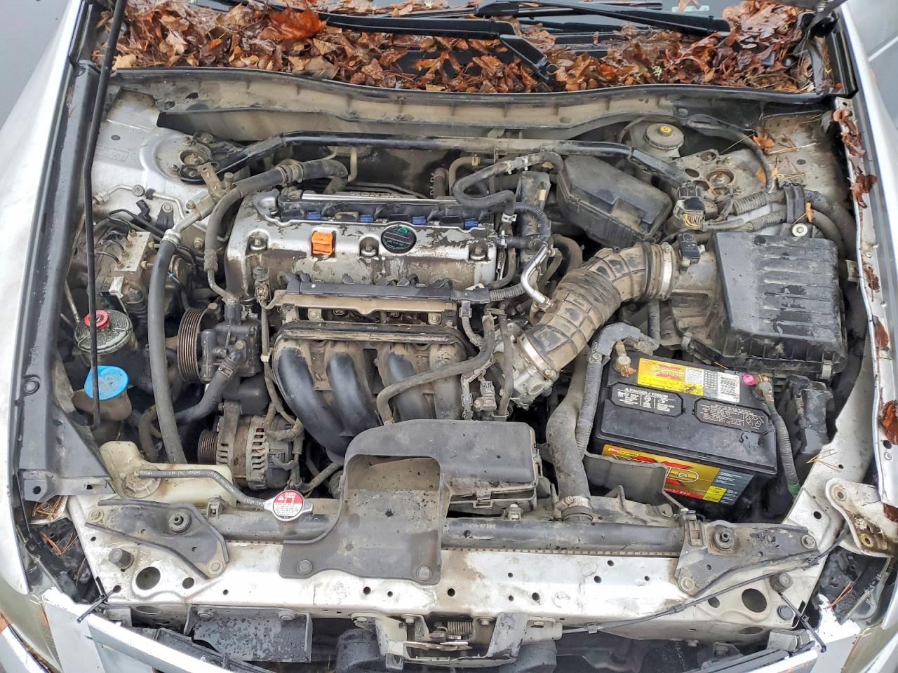2008 HONDA ACCORD EXL photo 11