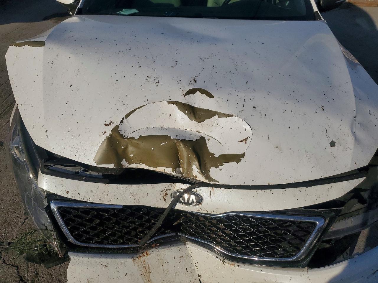 2013 KIA OPTIMA SX photo 11
