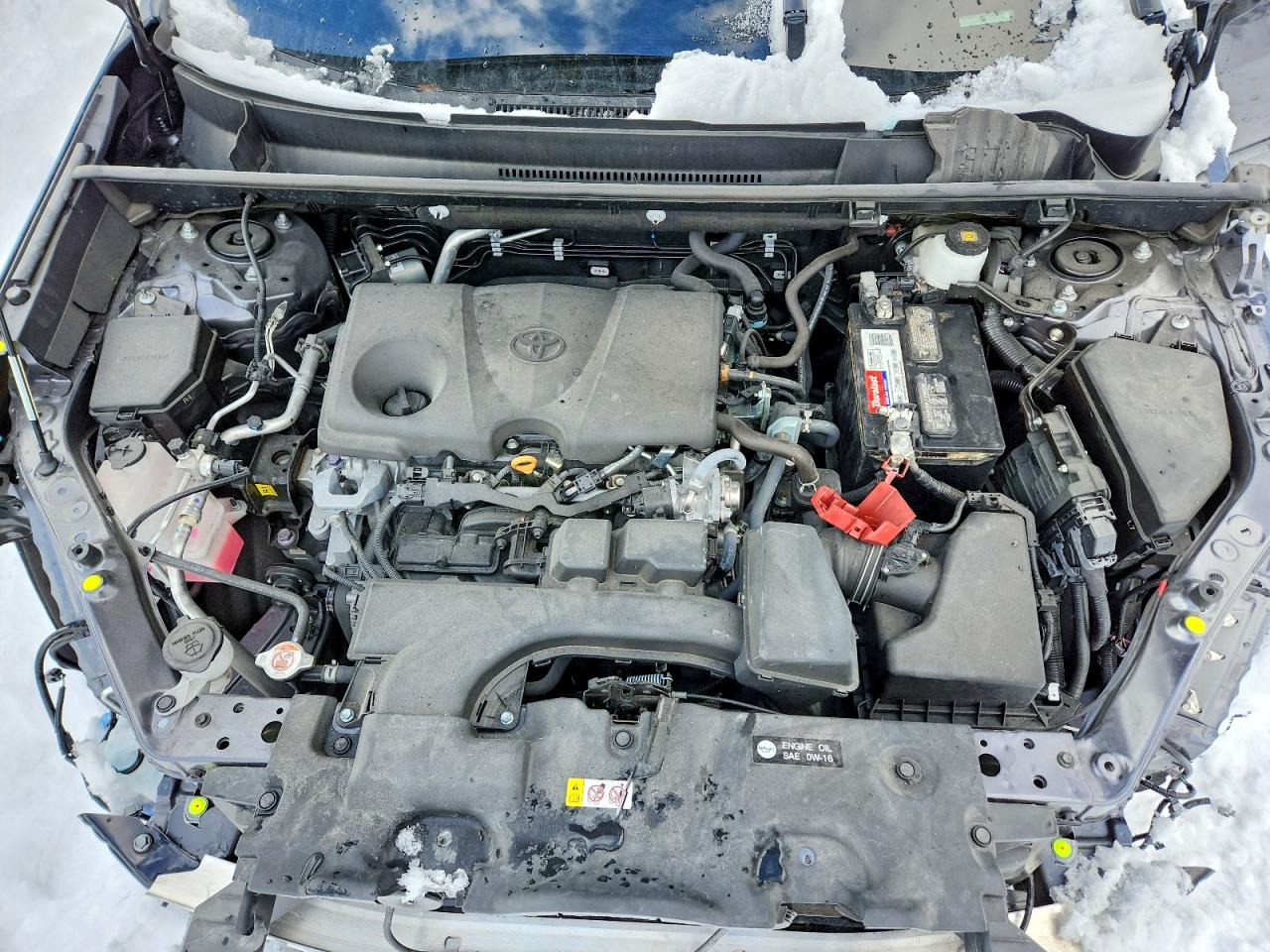 2025 TOYOTA RAV4 XLE PREMIUM photo 11