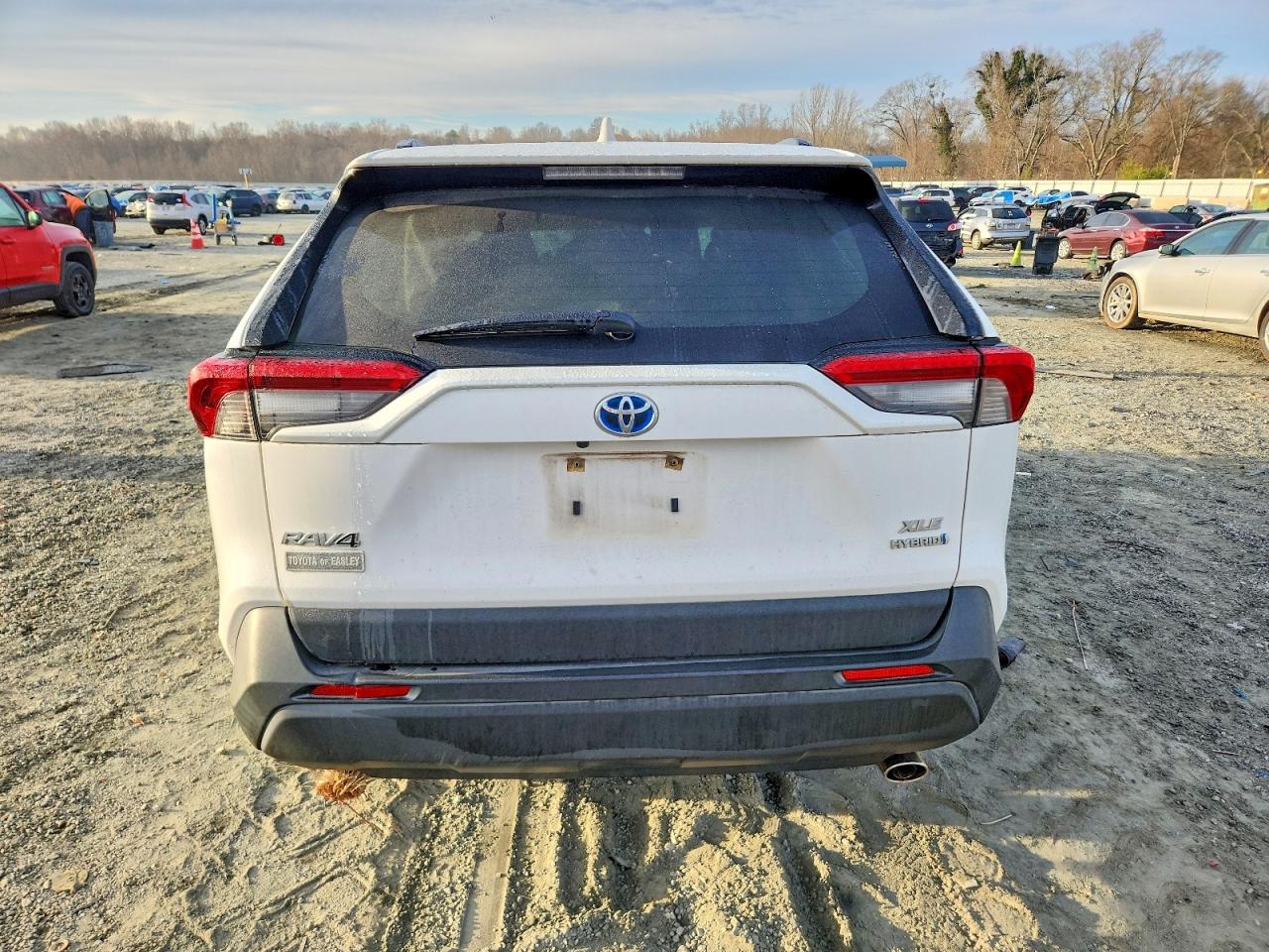 2019 TOYOTA RAV4 photo 11