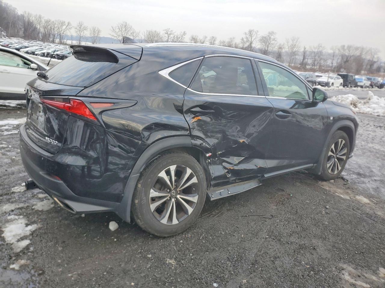 2020 LEXUS NX 300 F SPORT photo 5