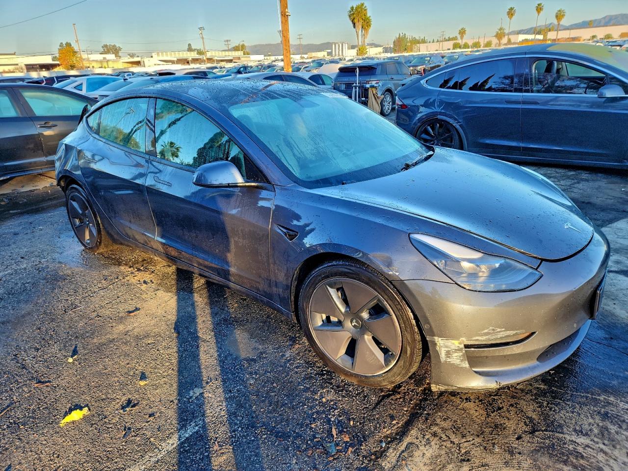 2022 TESLA MODEL 3 photo 4