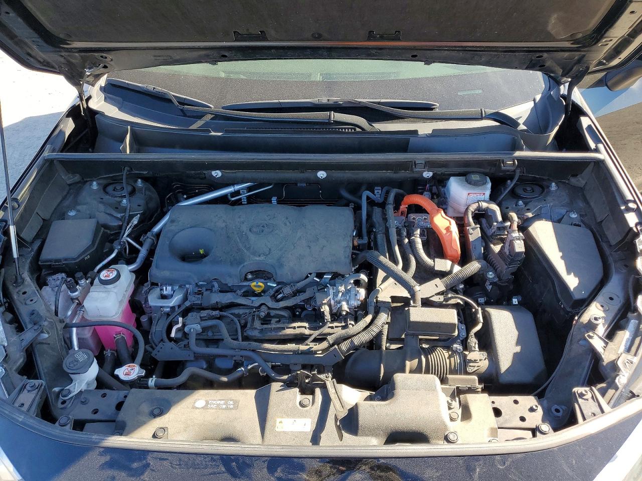 2024 TOYOTA RAV4 XLE photo 12