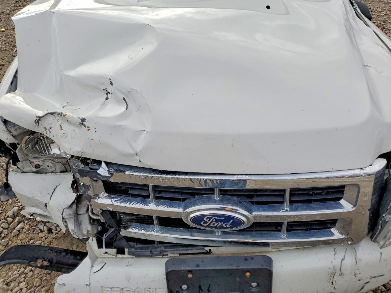 2012 FORD ESCAPE XLT photo 11