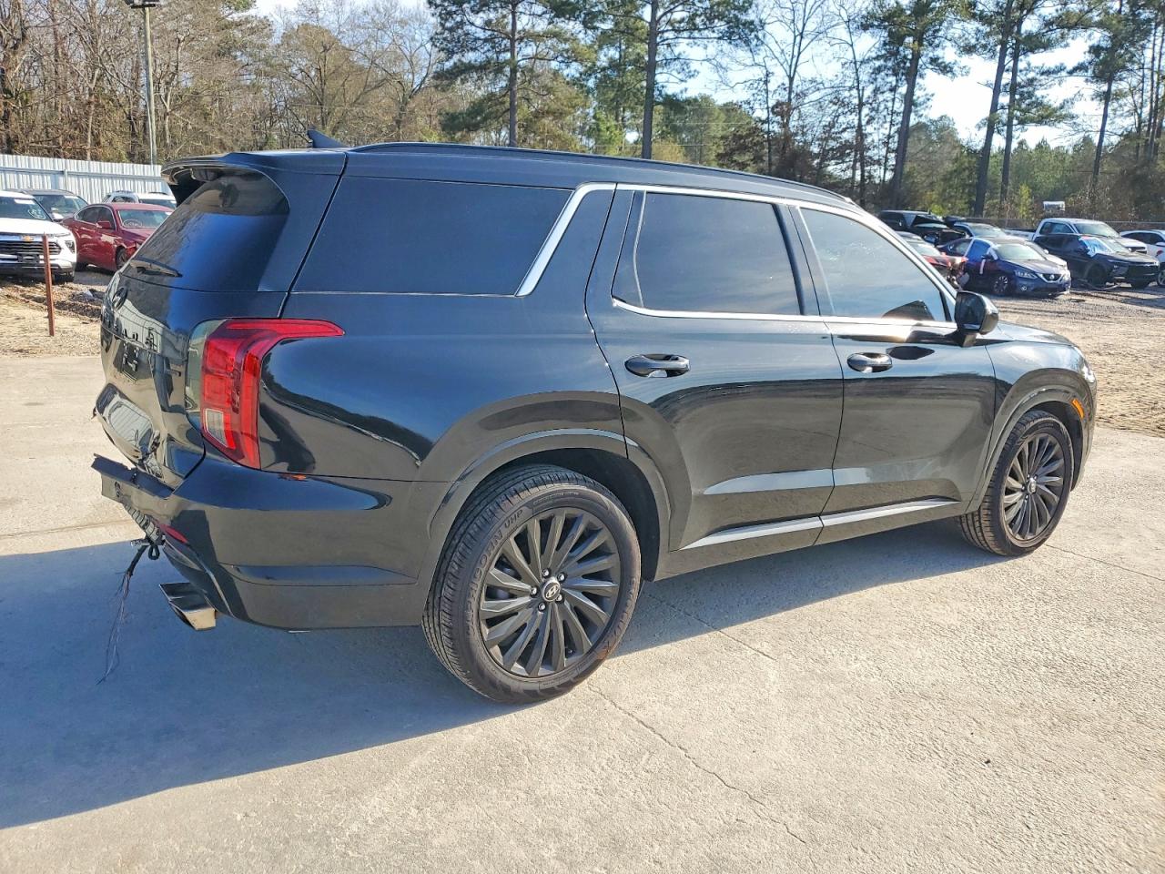 2024 HYUNDAI PALISADE CALLIGRAPHY photo 3