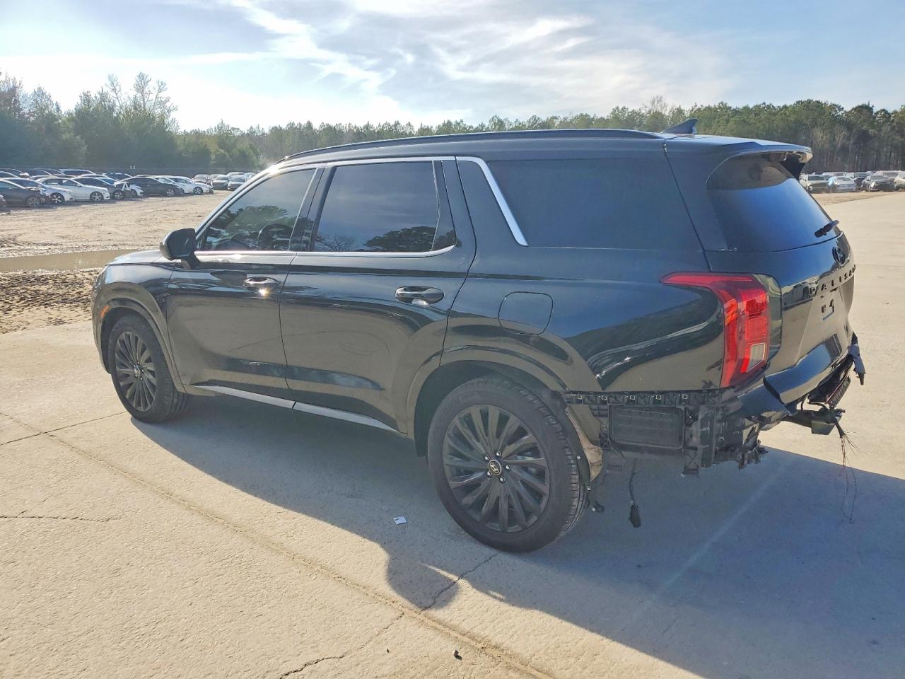 2024 HYUNDAI PALISADE CALLIGRAPHY photo 2