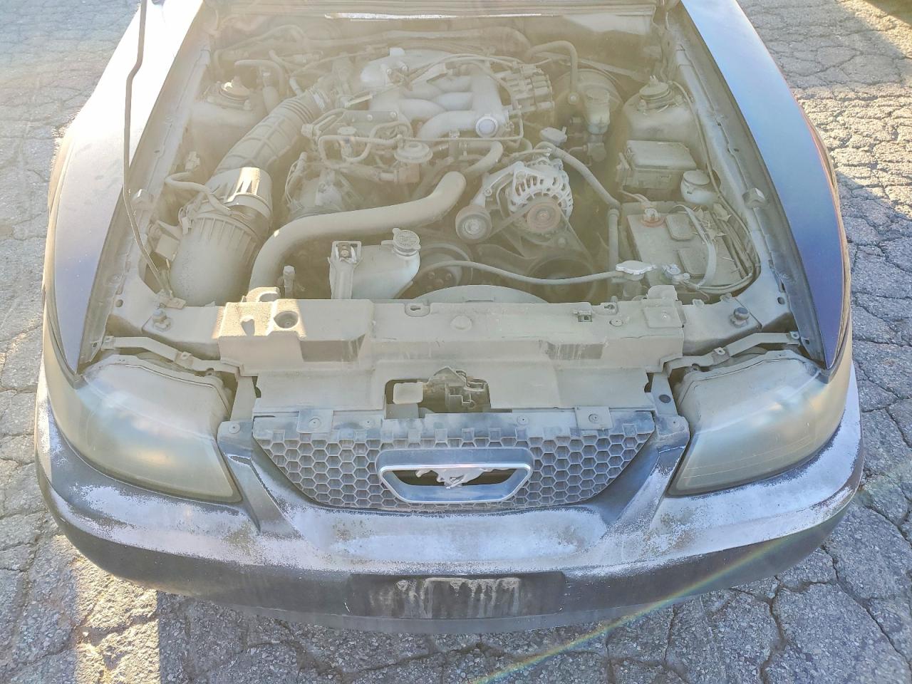 2003 FORD MUSTANG photo 11