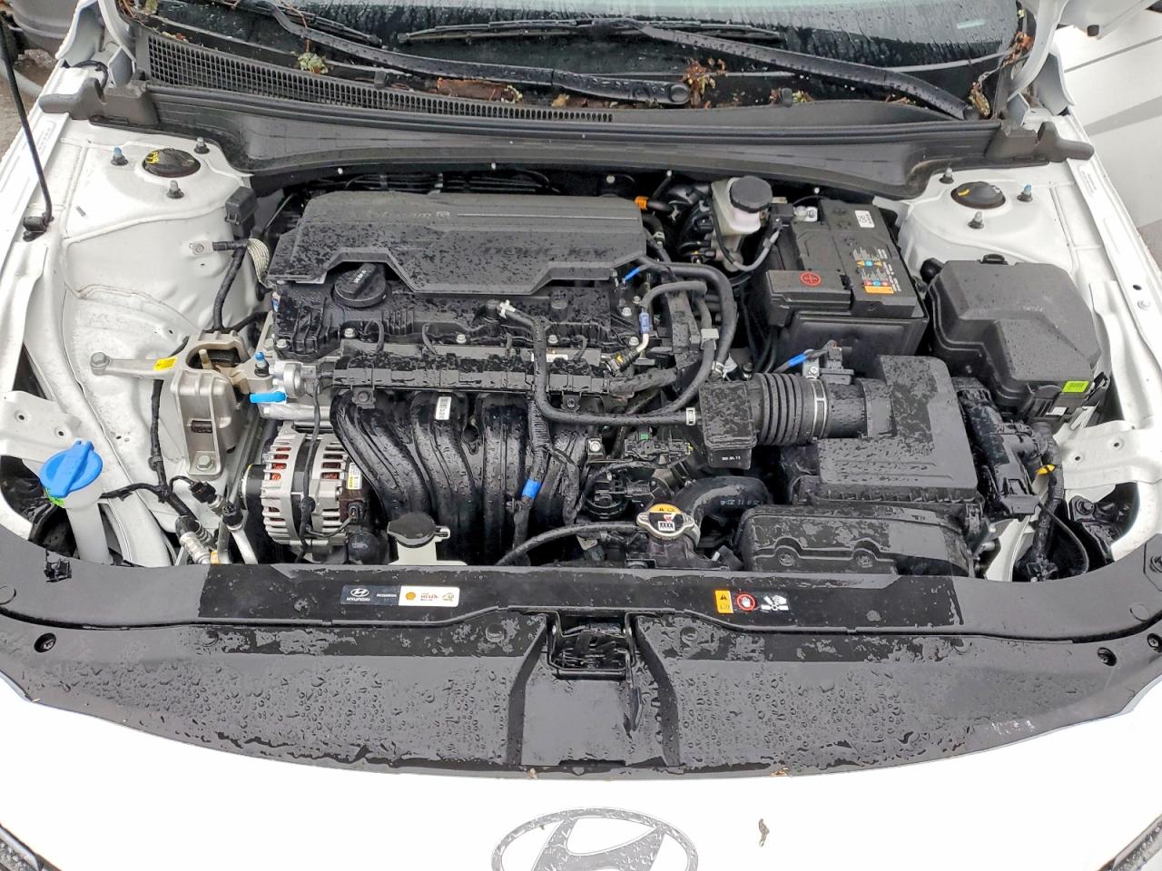 2025 HYUNDAI ELANTRA SEL SPORT photo 11